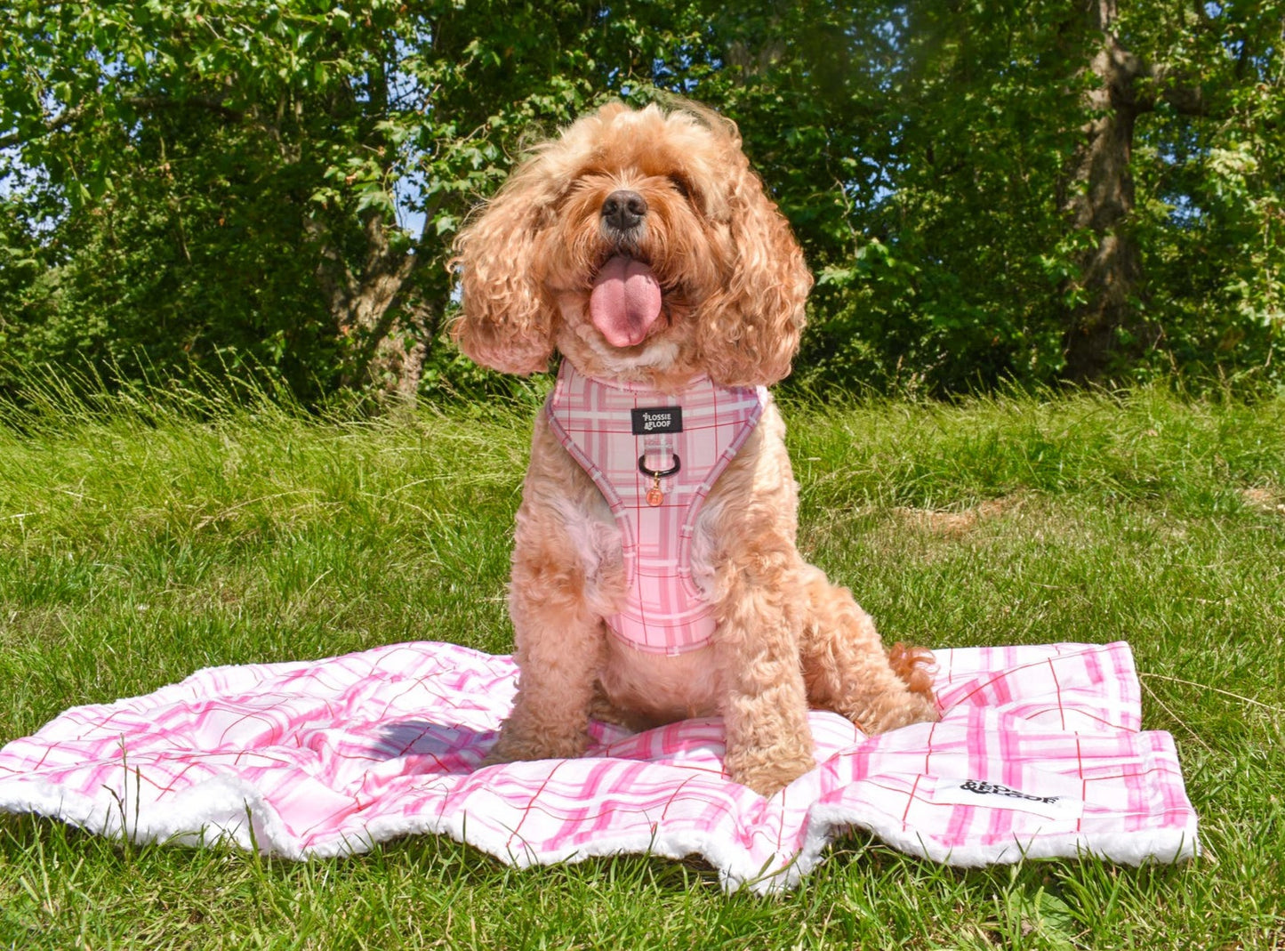 Oxford Blush Dog Blanket