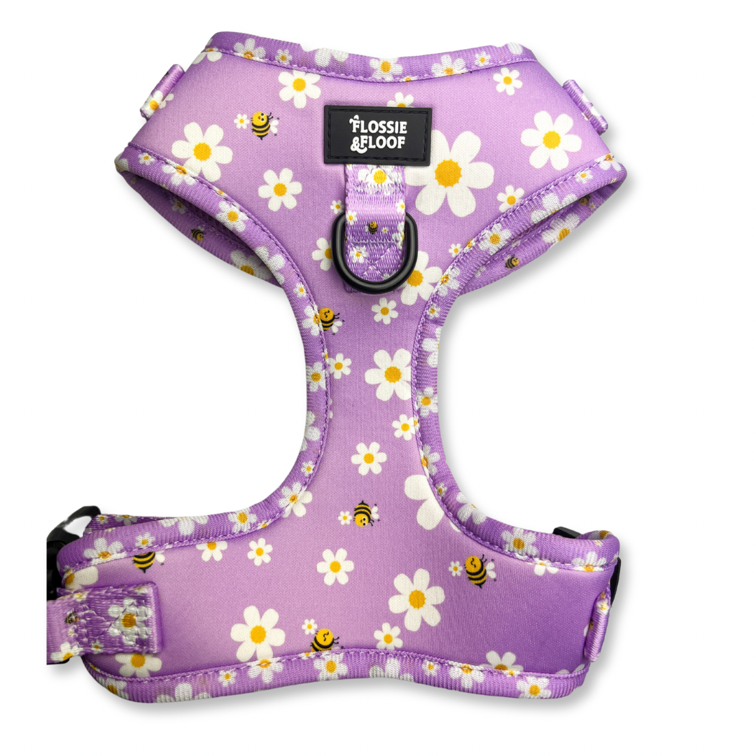 Cute as Can Bee 2.0 Adjustable Harness